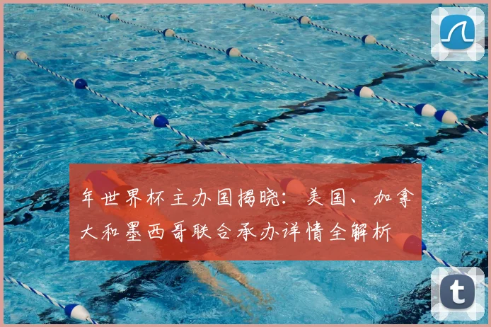 年世界杯主办国揭晓：美国、加拿大和墨西哥联合承办详情全解析